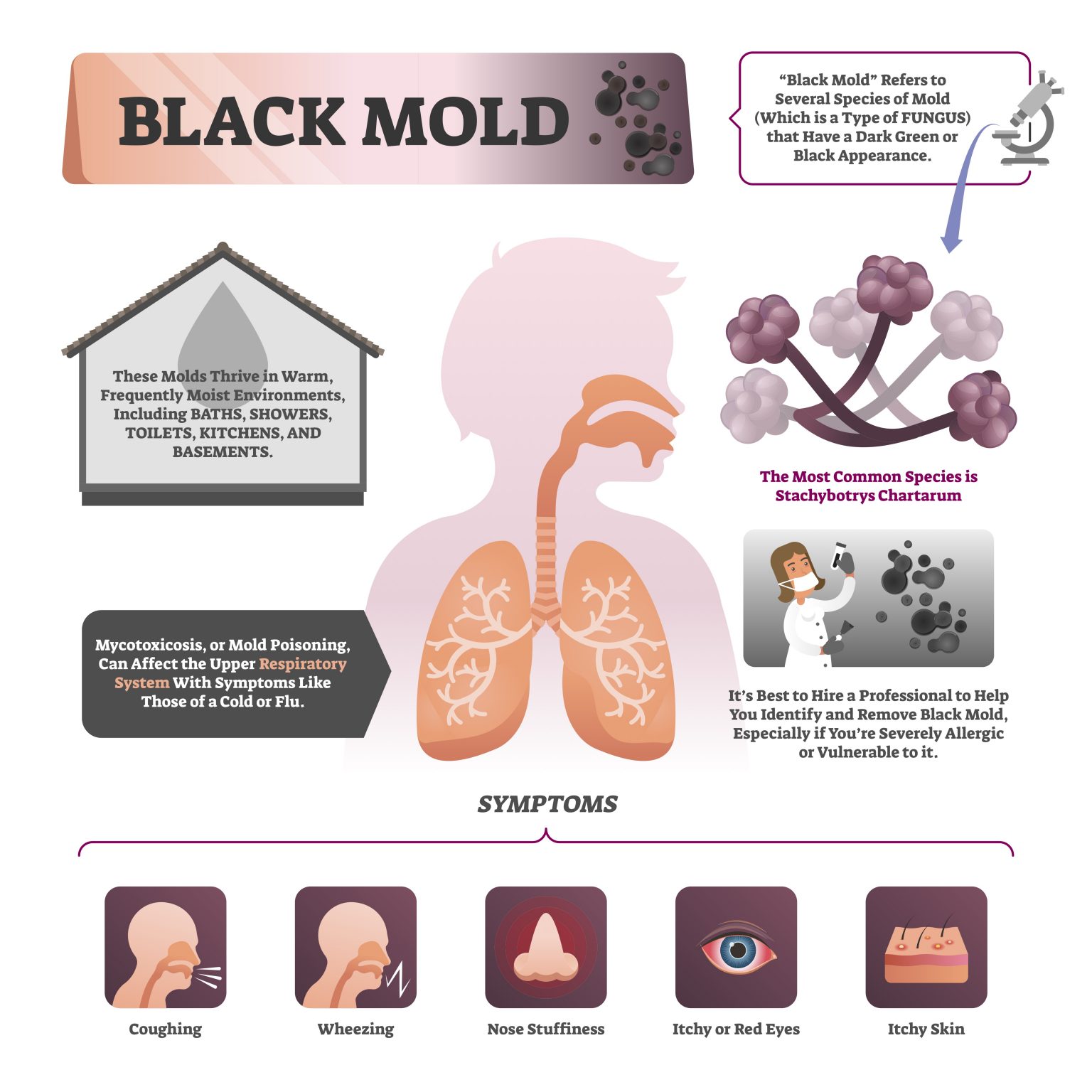 Mold Illness And Chronic Inflammatory Response Syndrome (CIRS) - Dr ...