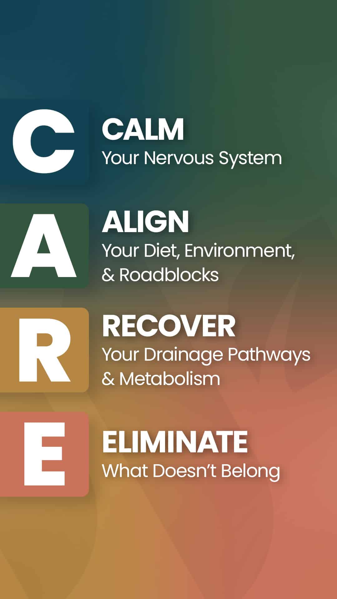 WellnessPlus by Dr. Jess - The wellness subscription that will change your life
